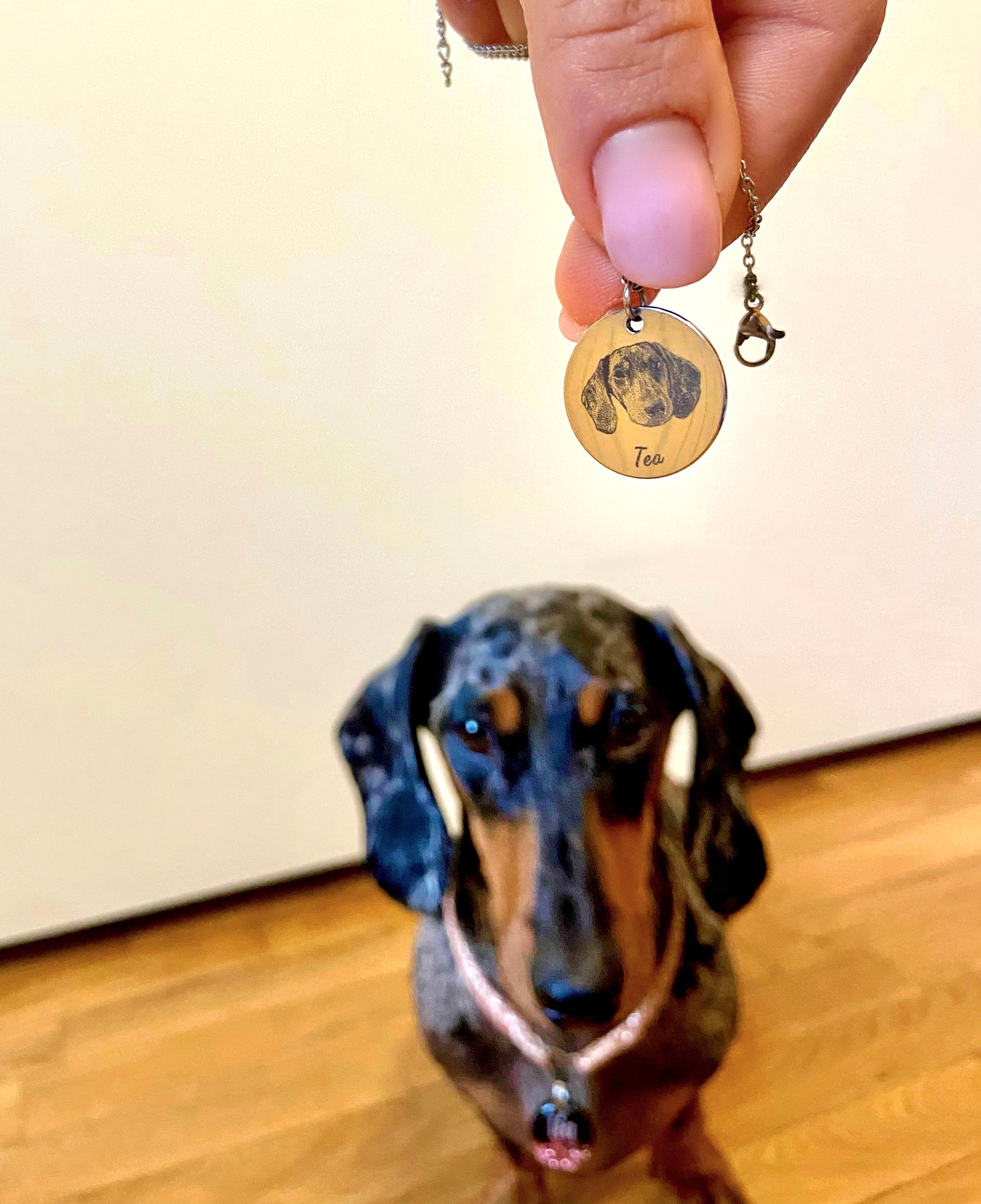 Il Tuo Pet Sempre con Te - Collana Personalizzata CandyPup™