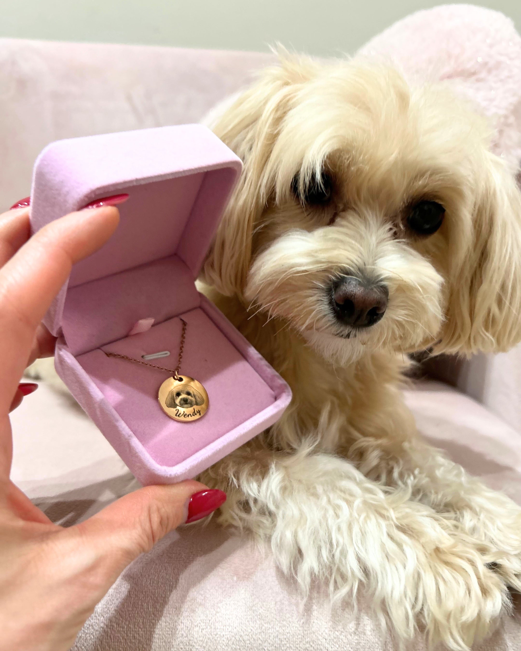 Il Tuo Pet Sempre con Te - Collana Personalizzata CandyPup™